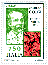 Golgi stamp
