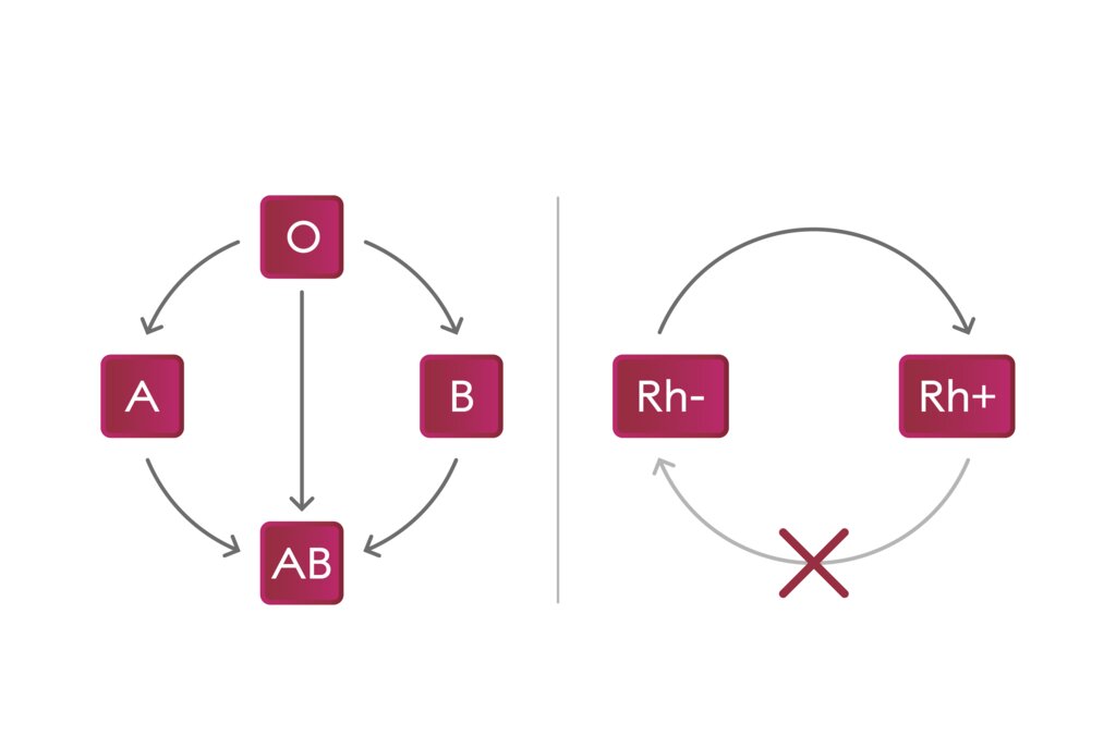Blood type compatibility chart