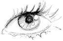 Eye.