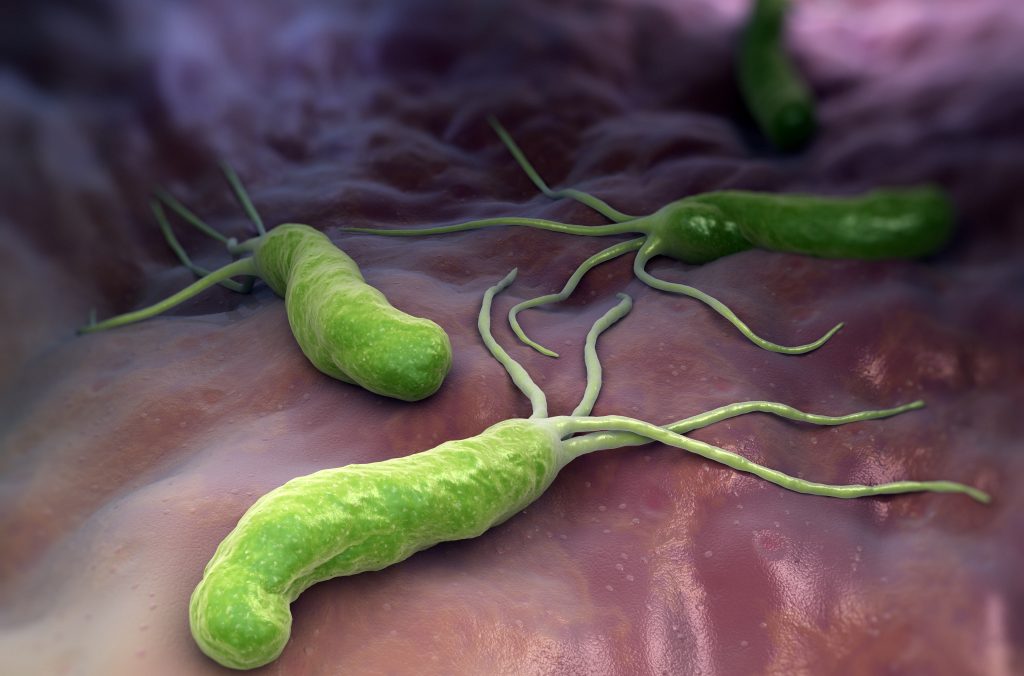 An illustration of helicobacter pylori