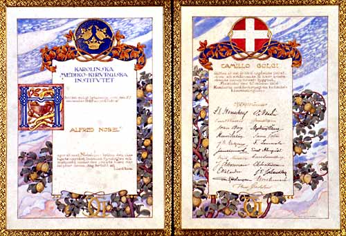Nobel diploma