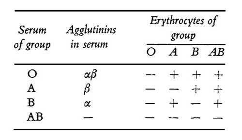 Table blood groups