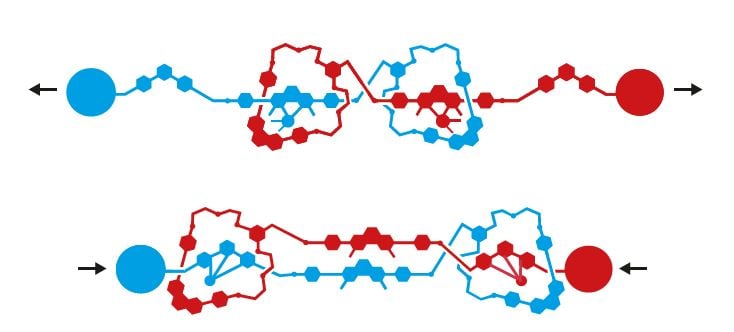 Illustration of two molecular loops threaded together