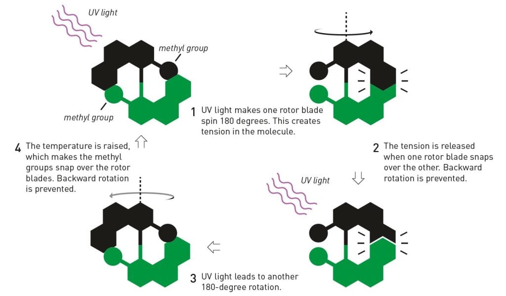 Illustration of the first molecular motor