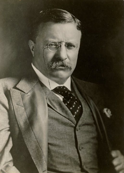 Portrait of Theodore Roosevelt
